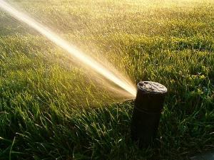 this rotary head covers a large area of residential lawn